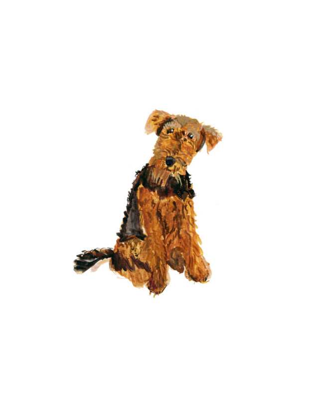 Airedale Dog Portrait