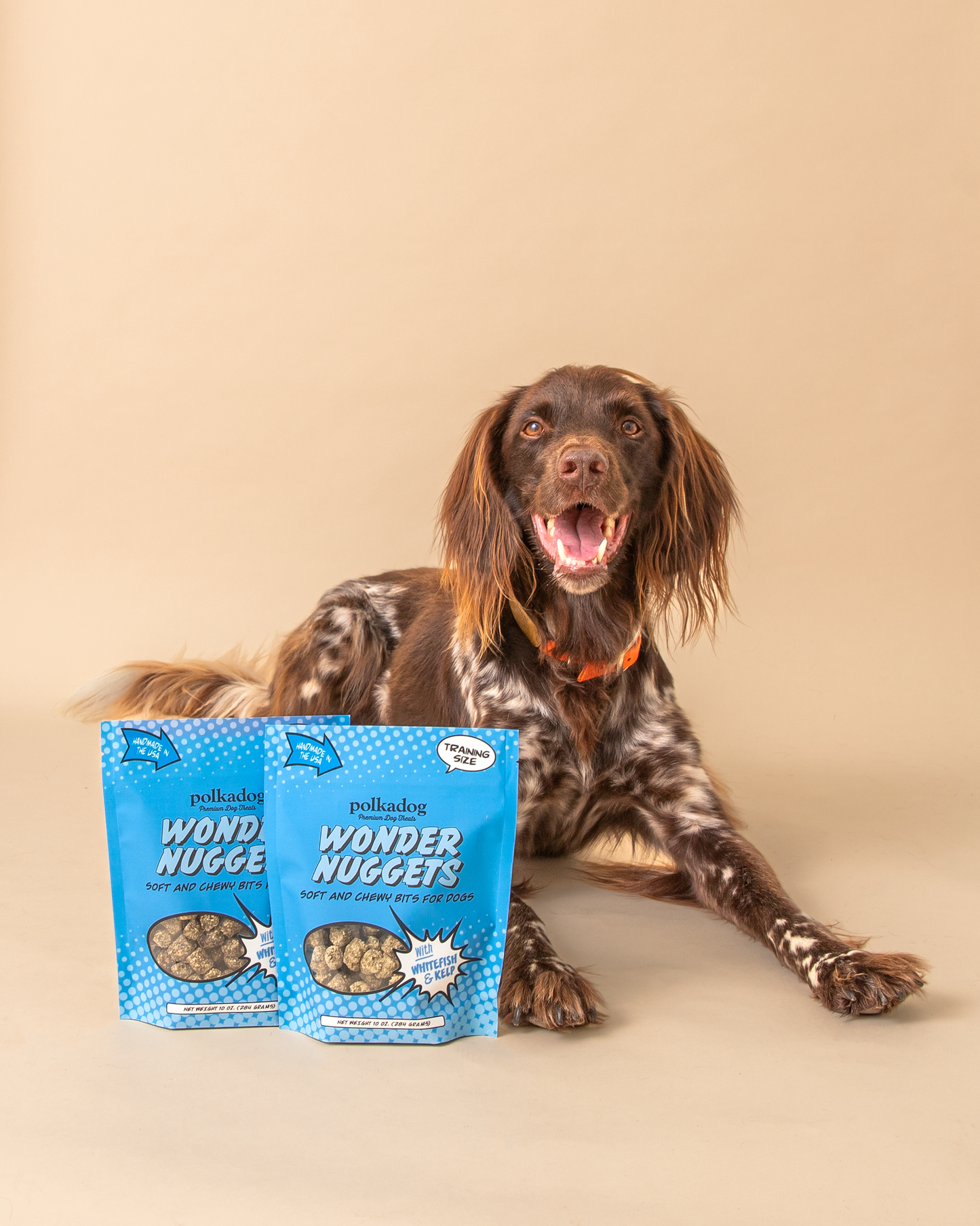 Wonder Nuggets, Whitefish & Kelp - 10oz - Dog Treats