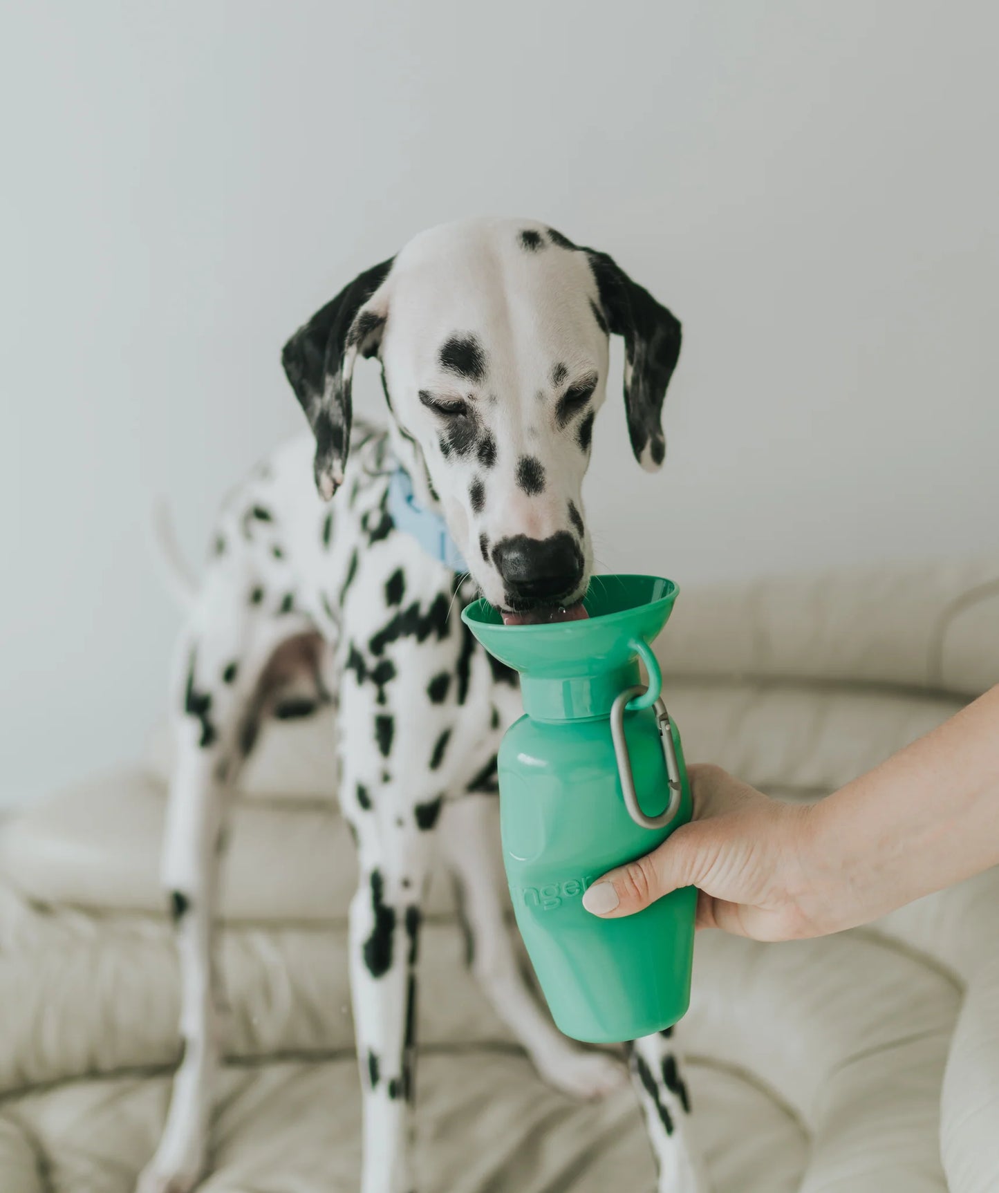 Dog Travel Water Bottle, 20oz, Flip Silicone